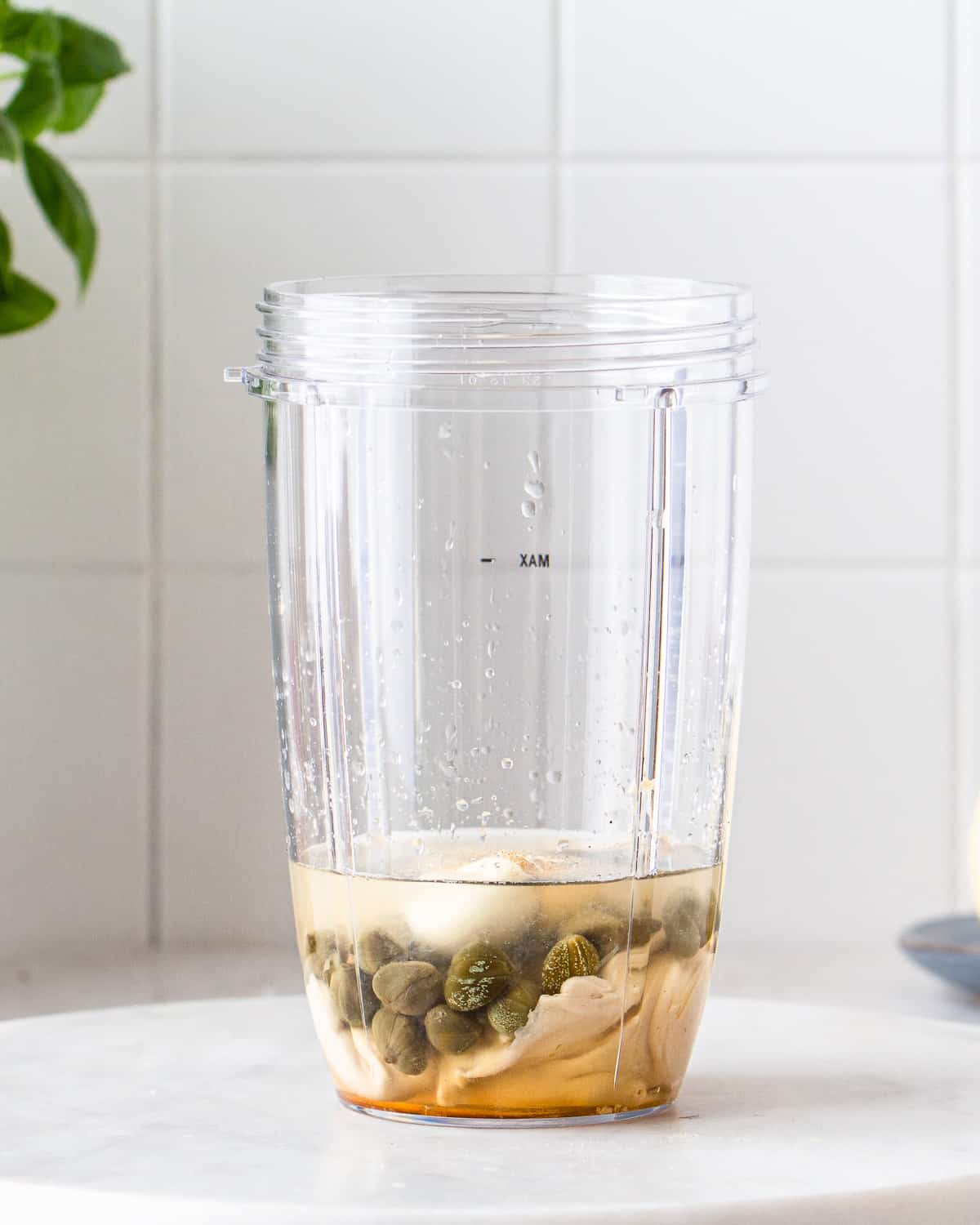 Cashew butter, capers, garlic clove, and water in a plastic blender jar.