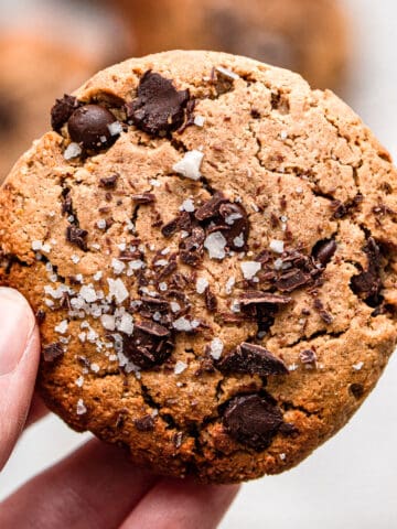 Hand holding a vegan protein cookie.