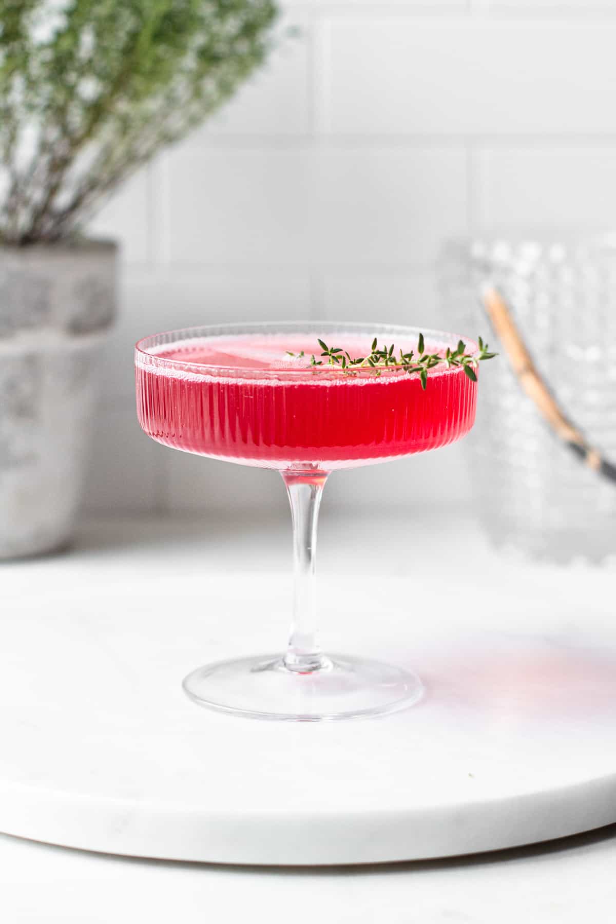 Ribbed coupe glass filled with a pink cocktail and a sprig of thyme with a small thyme plant in the back.