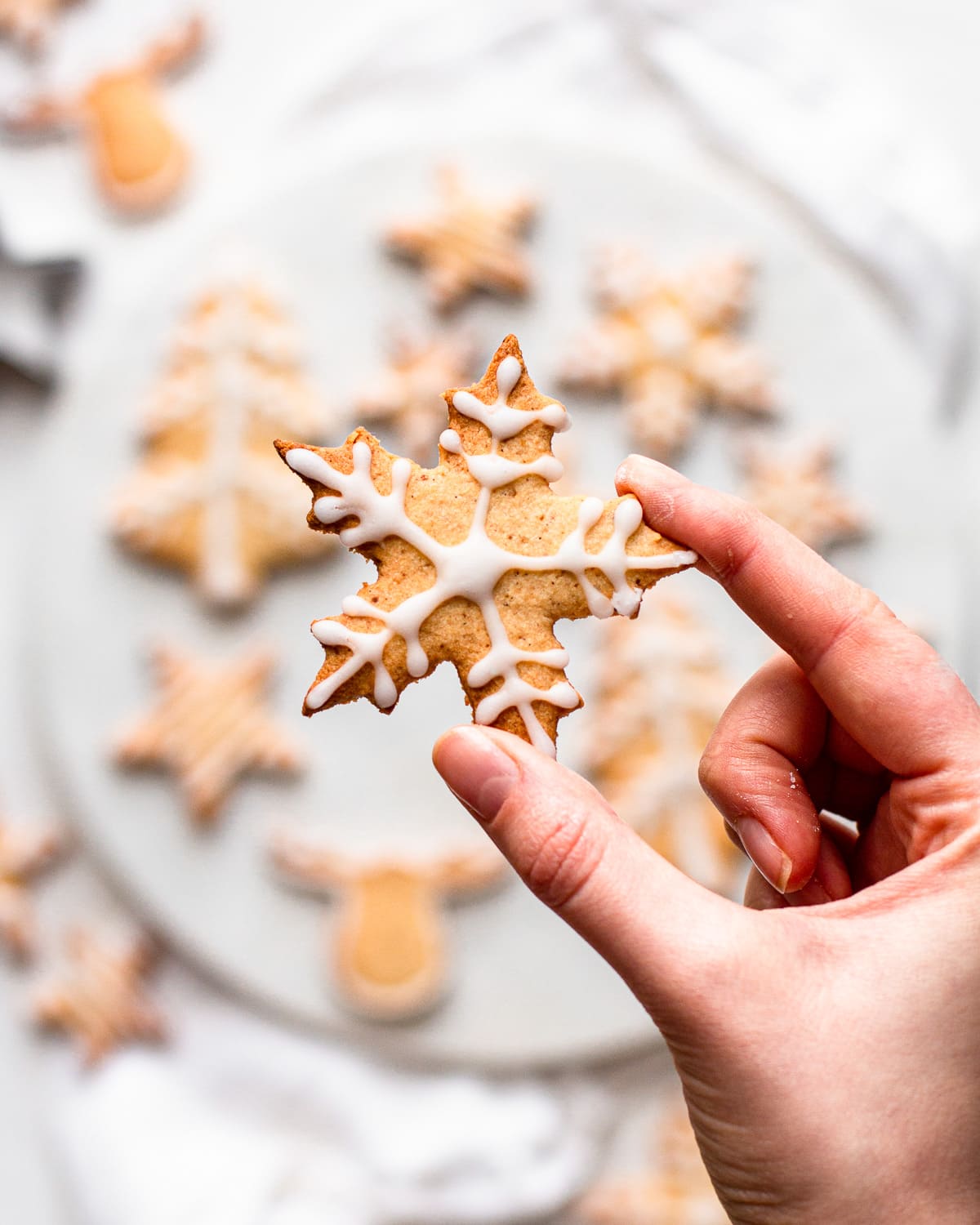 Hand holding a star-shaped sugar cookie with icing.
